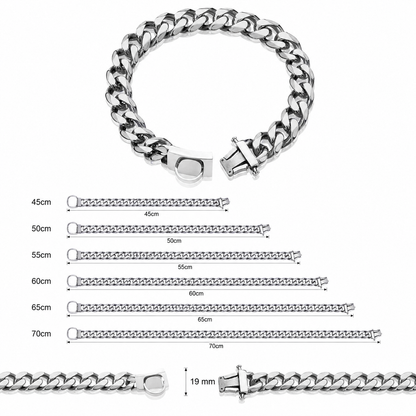 Titanium Steel Dog Collar