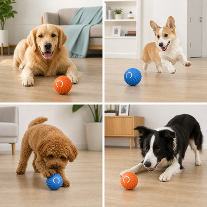 Automatic Interactive Dog Toy – RolliPlay