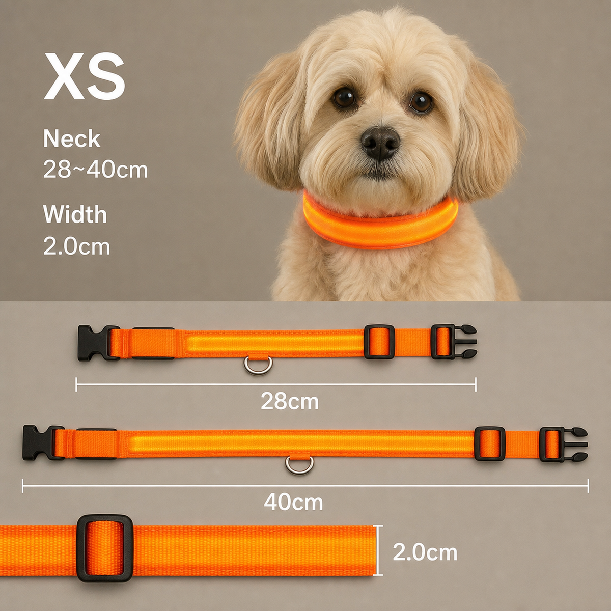 GlowCollar LED – BrightPaws