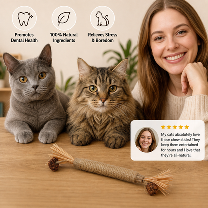 PawBite – Natural Chew Sticks for Cats