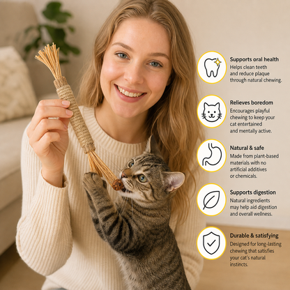 PawBite – Natural Chew Sticks for Cats