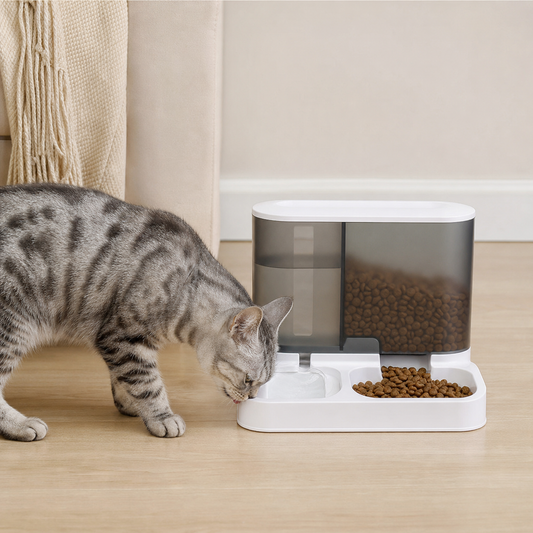 Automatic Pet Feeding & Watering System – FeedMate Duo