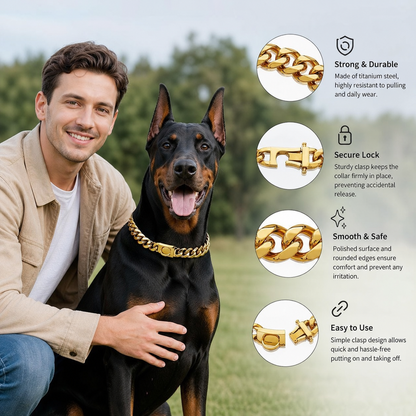 Titanium Steel Dog Collar