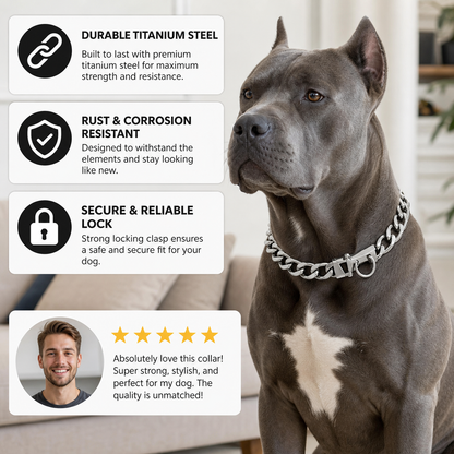 Titanium Steel Dog Collar