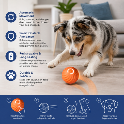 Automatic Interactive Dog Toy – RolliPlay