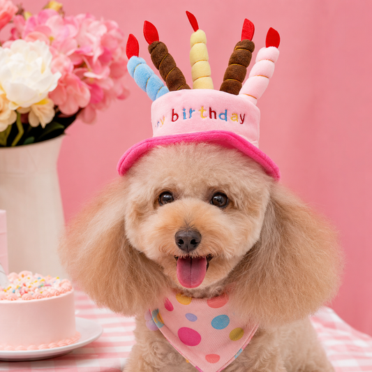 Pet Birthday Hat – PartyPaws