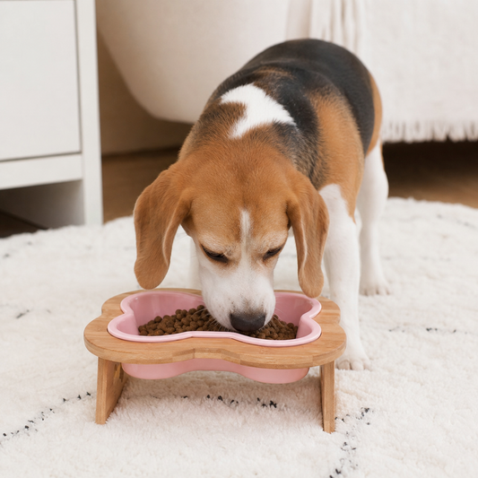 Elevated Ceramic Dog Bowl with Wooden Stand