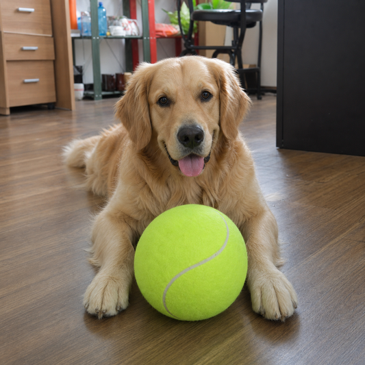 ChewTennis - Inflatable Tennis Pet Toy for Dogs