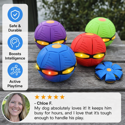 TurboFly – Ultimate Pet Flying Disc