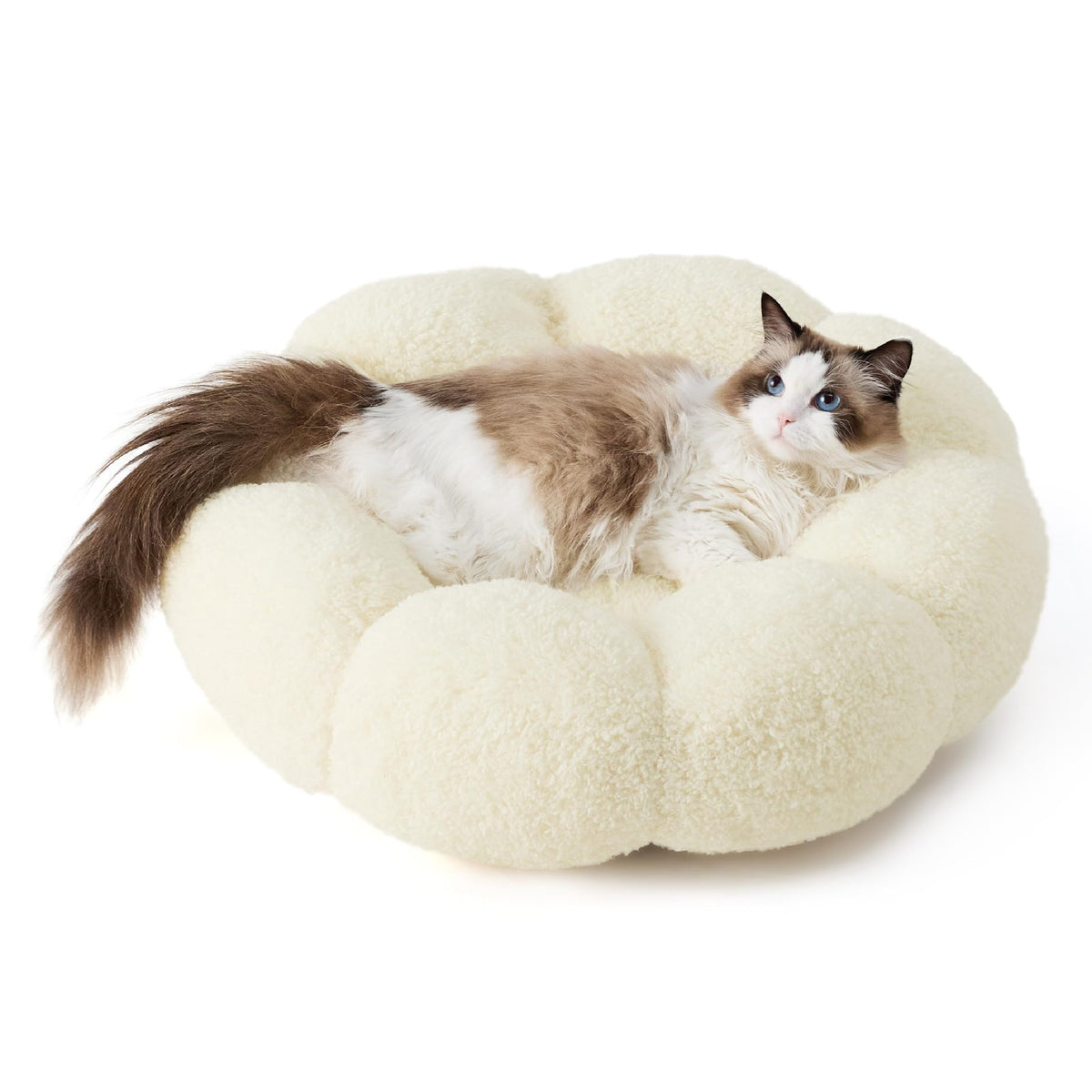 Luxury Floral Fluffy Donut Cat Bed – Soft & Washable Round Cushion