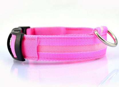 GlowCollar LED – BrightPaws