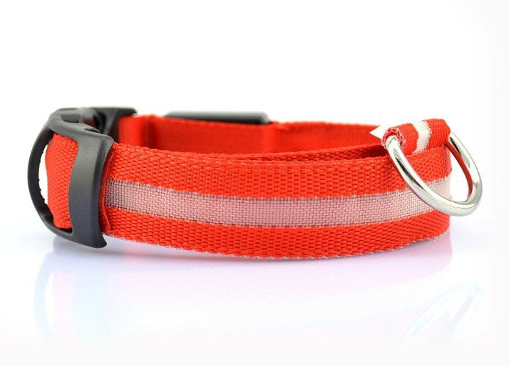 GlowCollar LED – BrightPaws