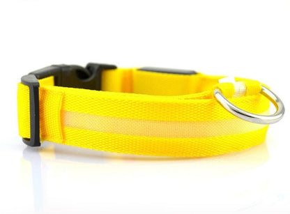 GlowCollar LED – BrightPaws