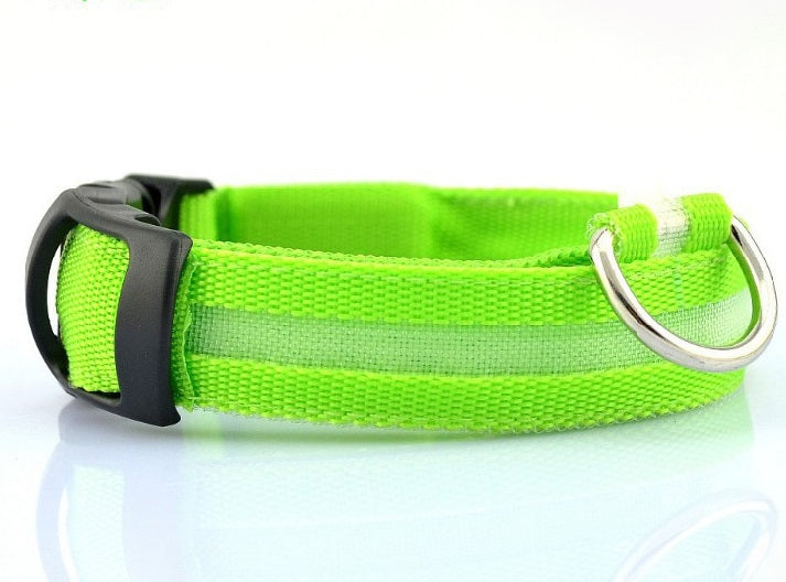 GlowCollar LED – BrightPaws