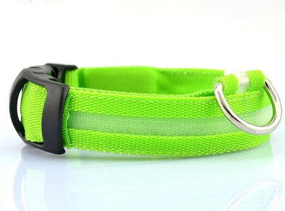 GlowCollar LED – BrightPaws