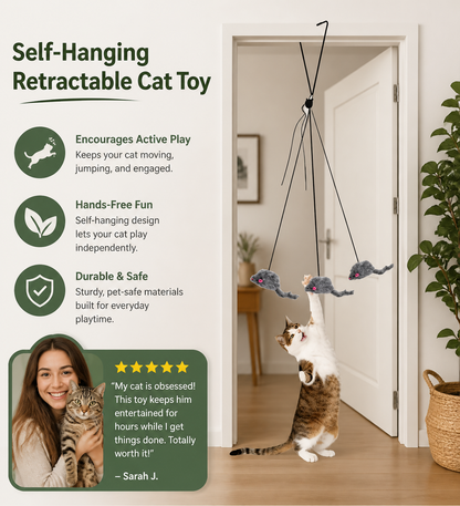 Self-Hanging Retractable Cat Toy