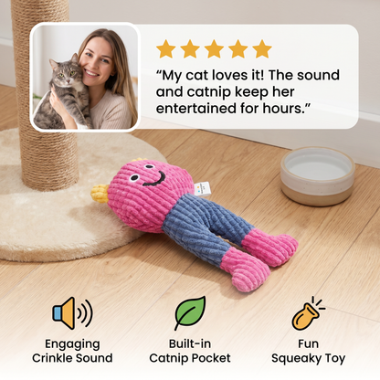 Crinkle Waffle Cat Toy with Catnip Pocket and Squeaky Sound