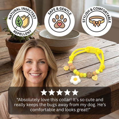 Cute collar with insect repellent for dogs
