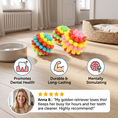 Colourful Bumpy Dog Chew Ball