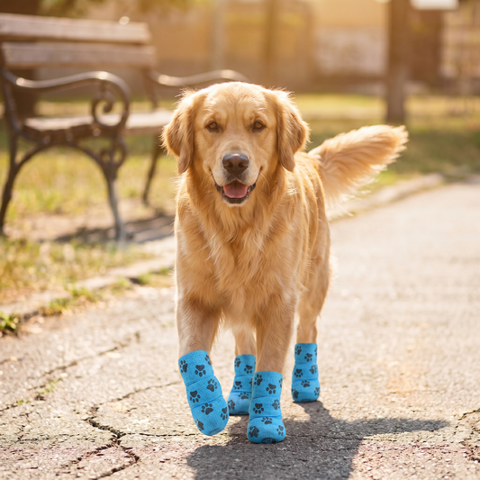 Self-Adhesive Pet Bandage Wrap for Hot Pavement & Snow Protection