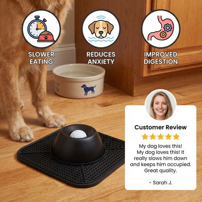 2in1 Slow Feeder Dog Bowl with Lick Mat