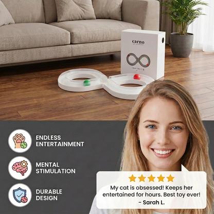 Interactive Cat Track Ball Toy