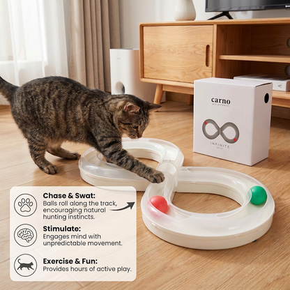 Interactive Cat Track Ball Toy