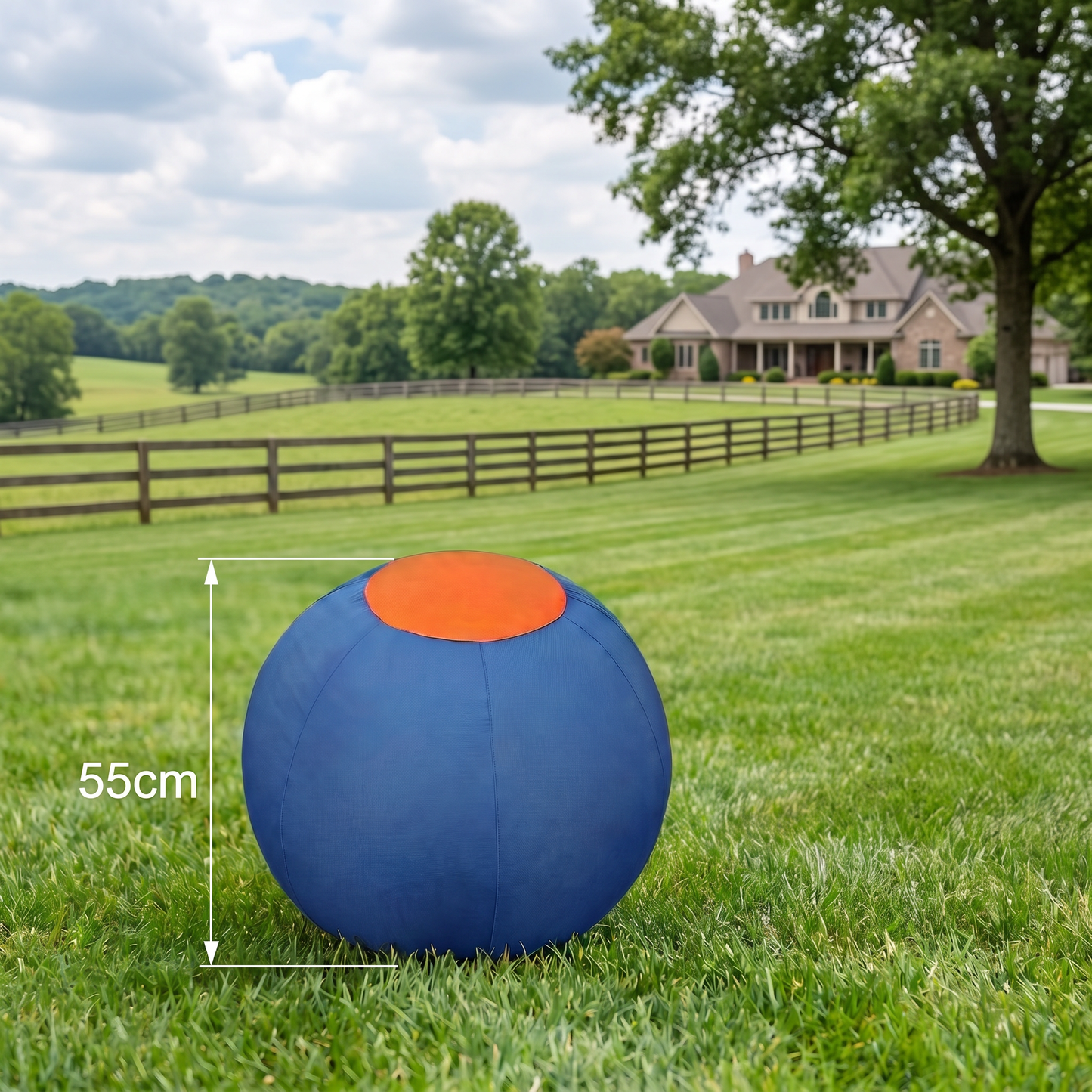 Inflatable Bite Resistant Herding Ball for Dogs – Durable Interactive Push & Chase Toy