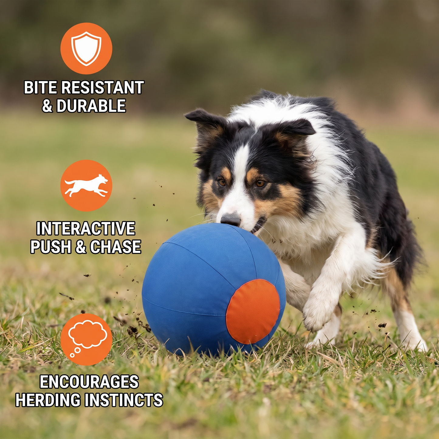 Inflatable Bite Resistant Herding Ball for Dogs – Durable Interactive Push & Chase Toy
