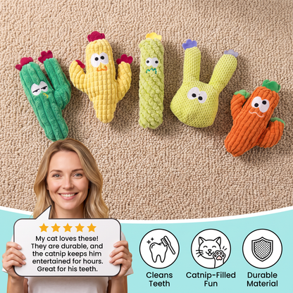 Catnip-Filled Cactus Teeth Cleaning Cat Toy