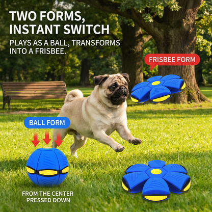 Interactive Flying Fetch Dog Ball