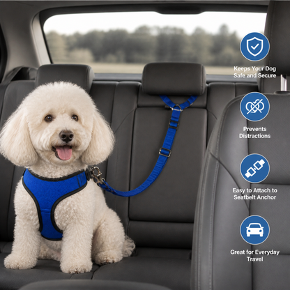 Dog Car Seat Belt