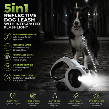 5in1 Reflective Dog Leash with Integrated Flashlight