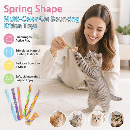 Spring Shape Multi-Color Cat Bouncing Kitten Toys
