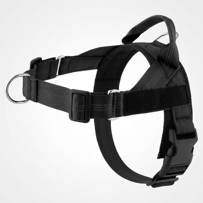 Personalized Reflective No-Pull Dog Harness with Custom Name Patch