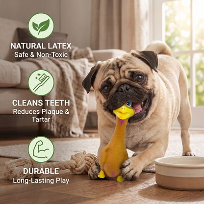 Durable Natural Latex Teeth Cleaning Dog Chew Toy