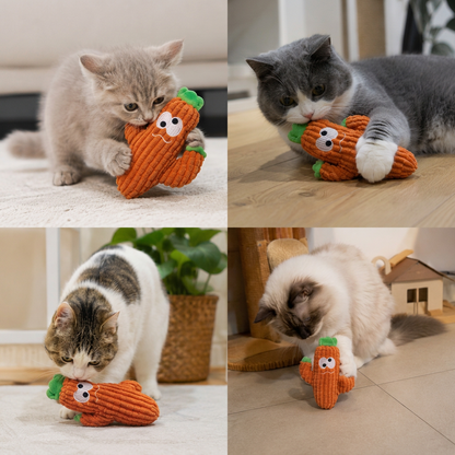 Catnip-Filled Cactus Teeth Cleaning Cat Toy