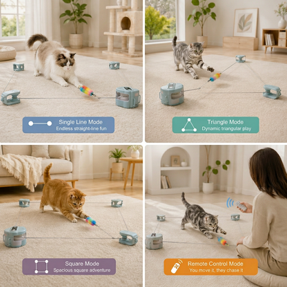 Automatic Cat Chasing Track Toy