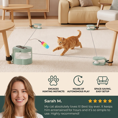Automatic Cat Chasing Track Toy
