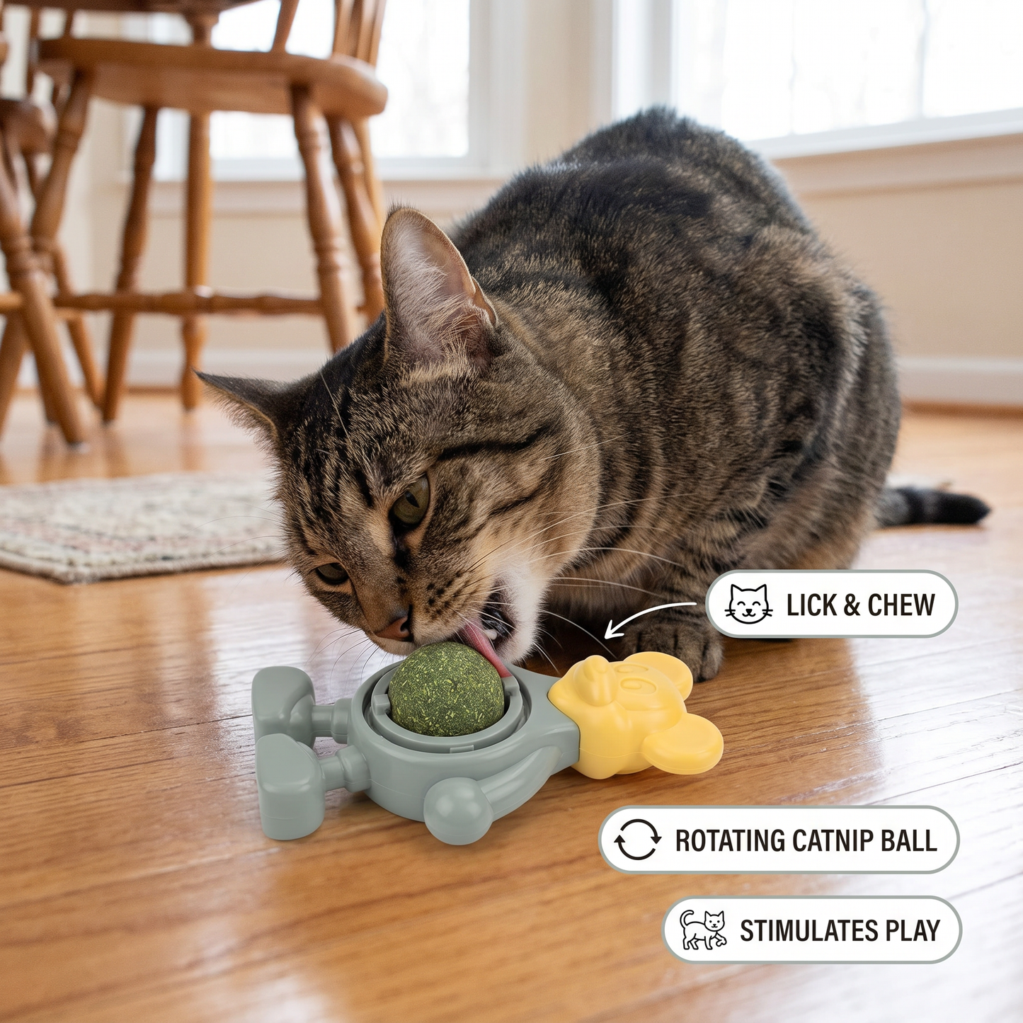 Catnip Ball Chew Toy