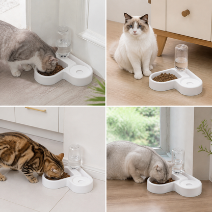 Heart-Shaped Feeding Bowl Station