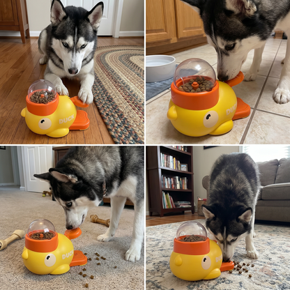 Interactive Self-feeding Dispenser for Dogs