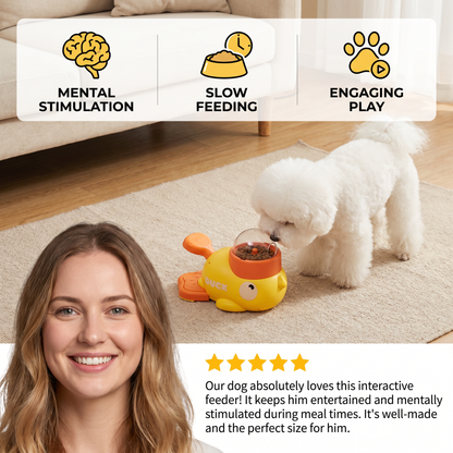 Interactive Self-feeding Dispenser for Dogs