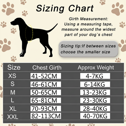 Personalized No-Pull Dog Harness with Front D-Ring – Designed for Neck & Shoulder Relief