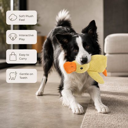 DuckBuddy - Plush Dog Toy