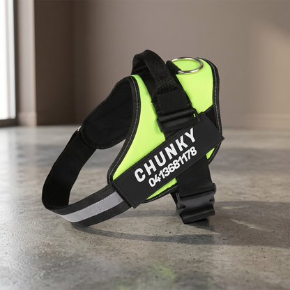 PerfectFit - Personalized No Pull Dog Harness