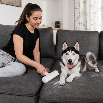 Practical Pet Hair Remover