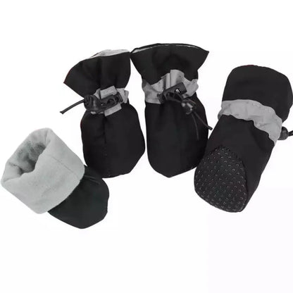 Winter Paw Protection – Paw Walks