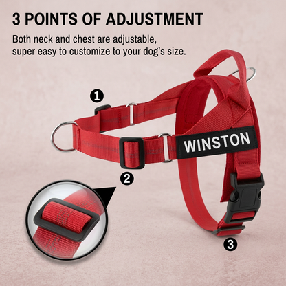 Personalized Reflective No-Pull Dog Harness with Custom Name Patch