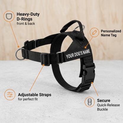 Personalized Reflective No-Pull Dog Harness with Custom Name Patch
